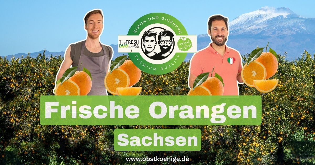 Orangen Sachsen – frische Orangen bestellen