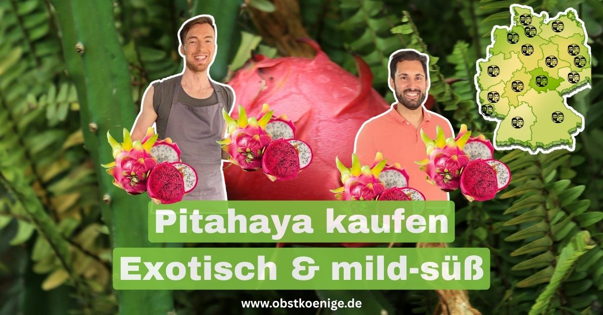 Pitahaya Drachenfrucht – exotisch, mild-süß und frisch online kaufen