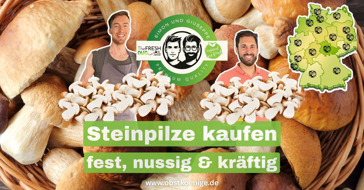 Steinpilze in Sachsen bestellen – fest & nussig