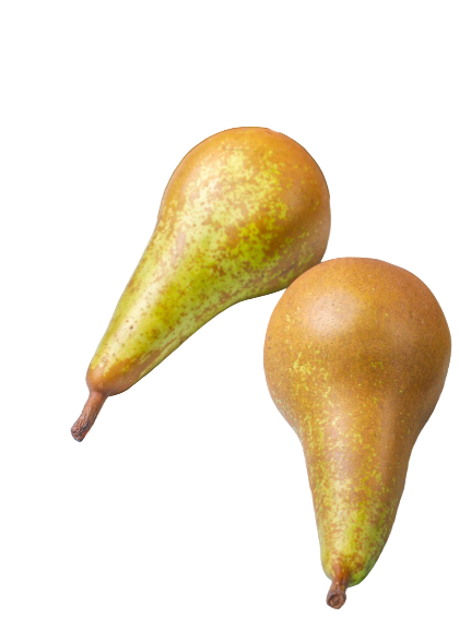 Birne Abate Lieferservice The Fresh Duo - Obstkoenige