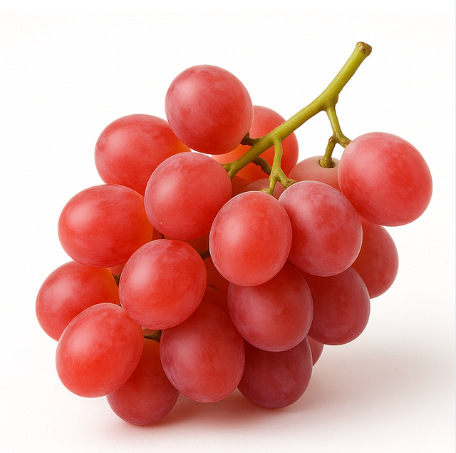 frische Trauben rose kernlos