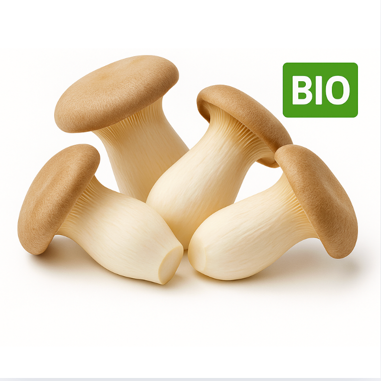 Bio Pilze Kräuterseitlinge vegan