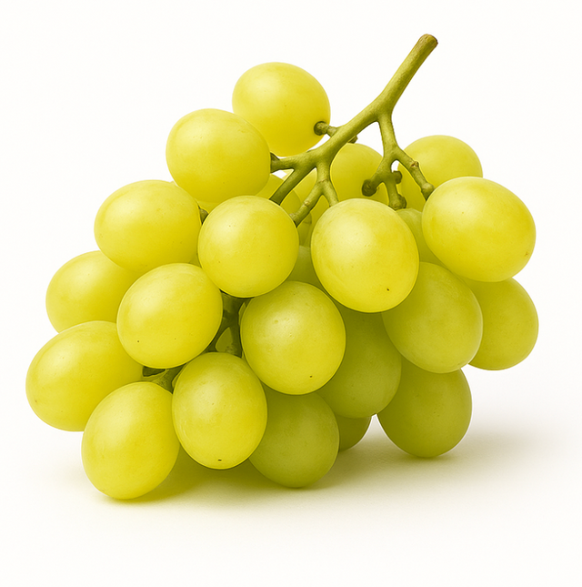 kernlose helle Trauben frisch und knackig