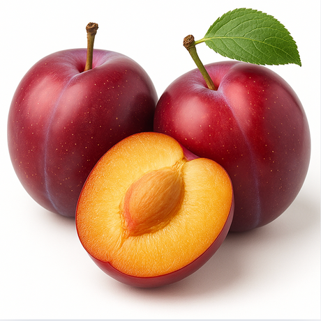 Frische Pflaumen im Herbst