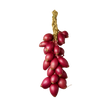 Zwiebel Tropea getrocknet