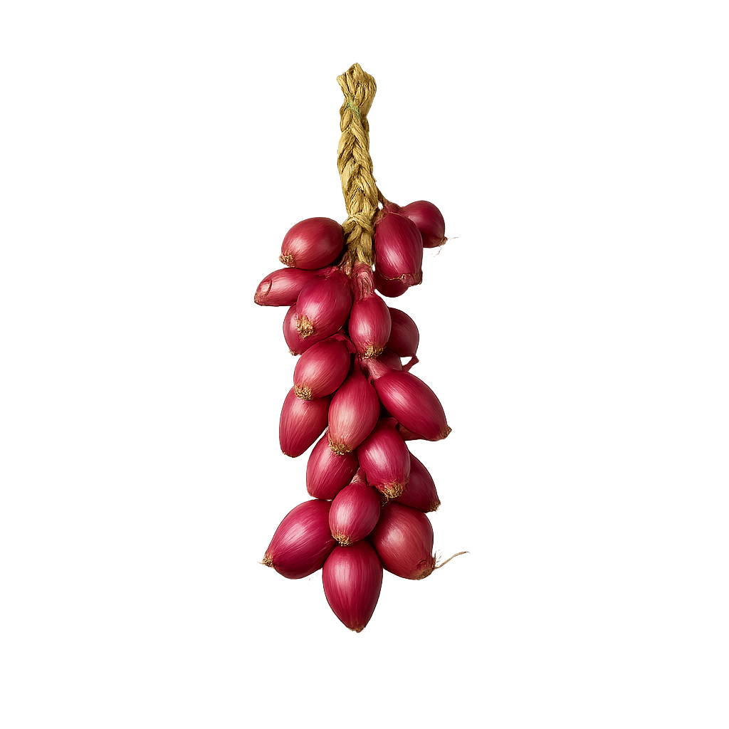 Zwiebel Tropea getrocknet