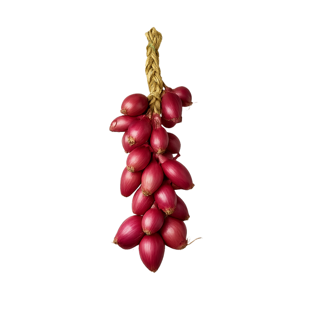 Zwiebel Tropea getrocknet