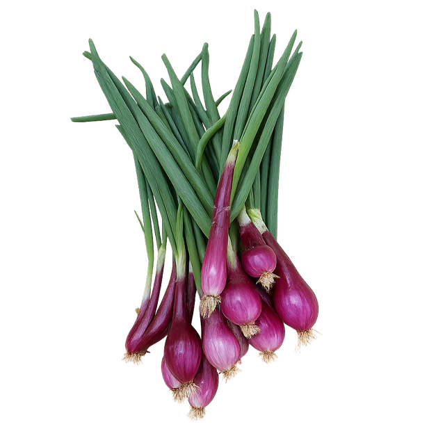 Zwiebel Tropea frisch
