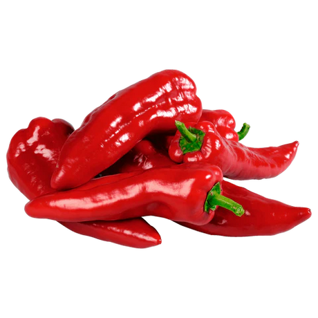 Spitzpaprika