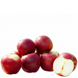 knackig frischer Snackapfel Rockit