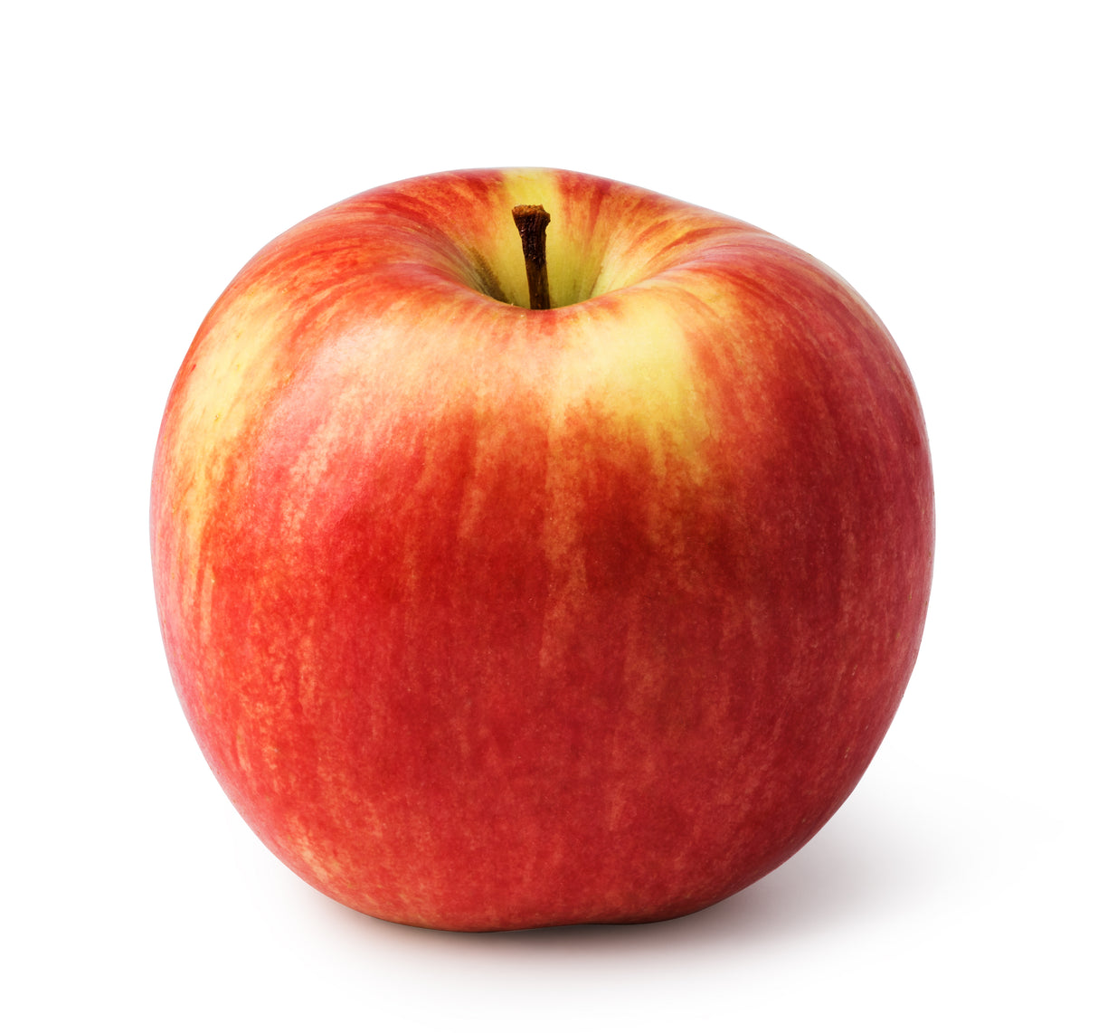 Apfel Elstar