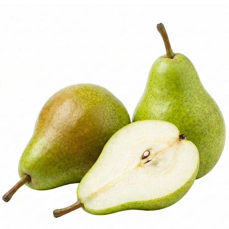 feste Birne Xenia Novembra 