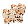 Bio Champignon 