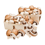 Bio Champignon 
