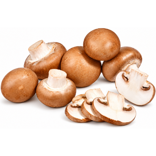 Frische Champignons braun