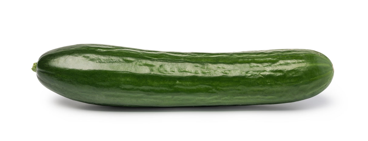 Bio Gurke