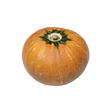 Bio Kürbis Hokkaido