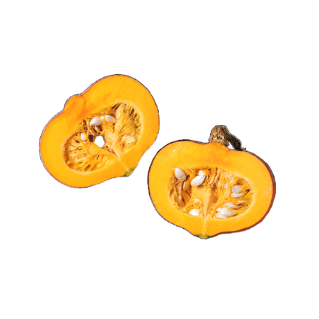 Bio Kürbis Hokkaido