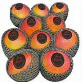 Kent Flugmango aus Peru