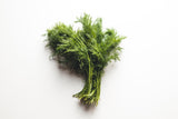 Dill frisch grün 