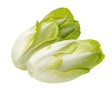 Salat Chicoree