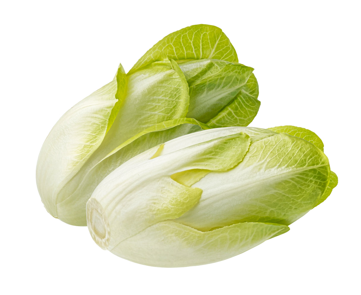 Salat Chicoree
