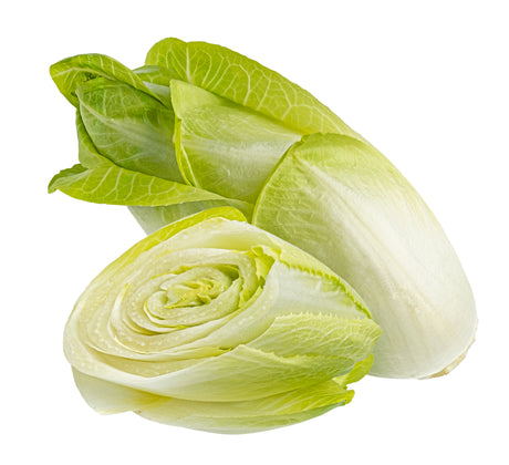 Salat Chicoree