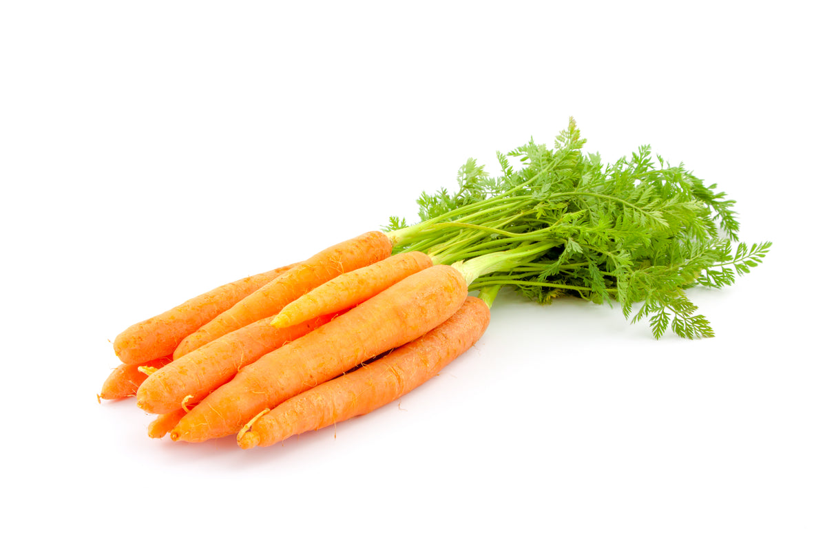Gourmet Karotten Qualitativ 
