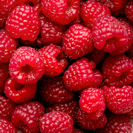 Himbeeren Schale