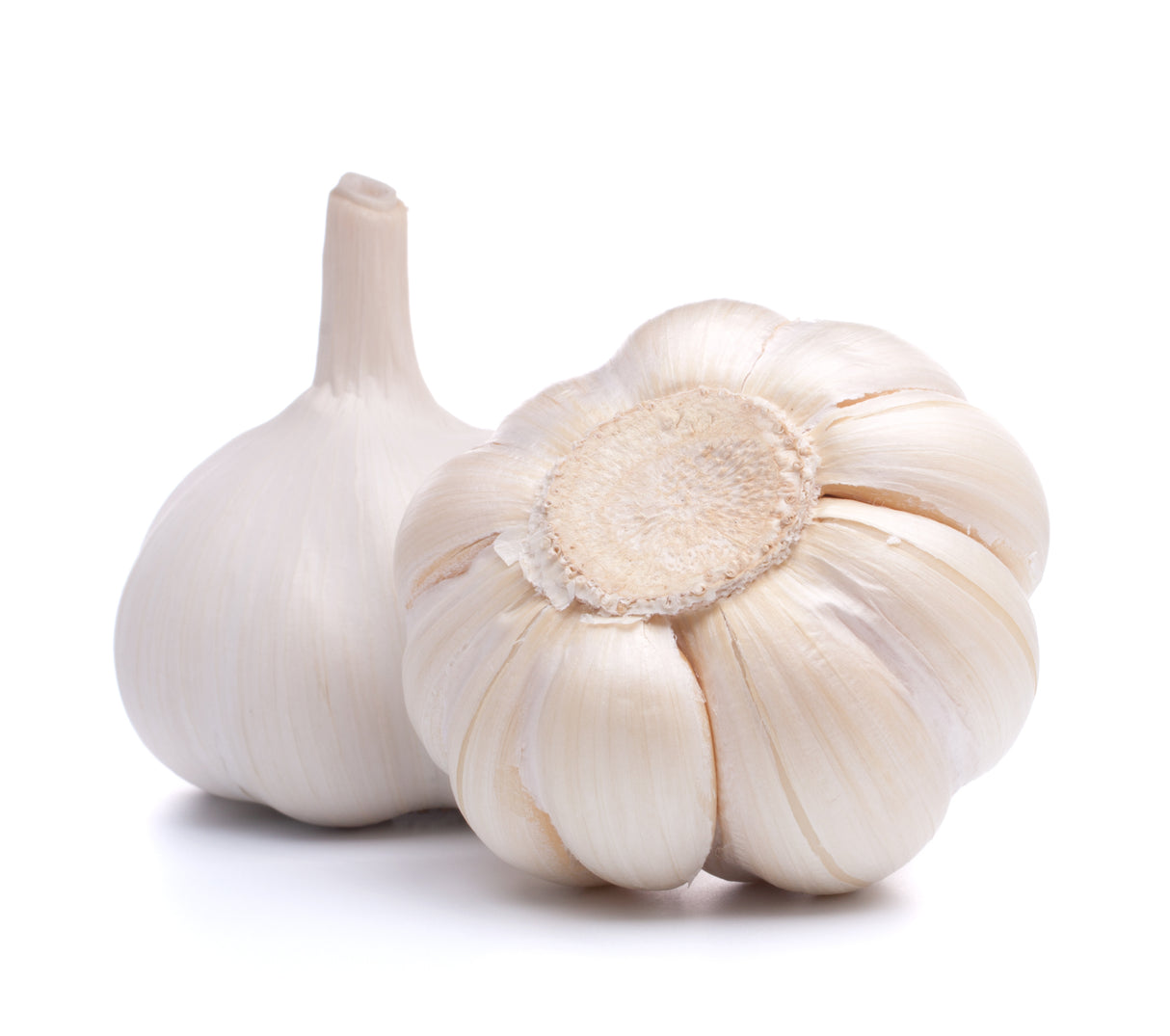 Knoblauchzehe 