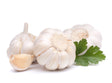 Knoblauch frisch 