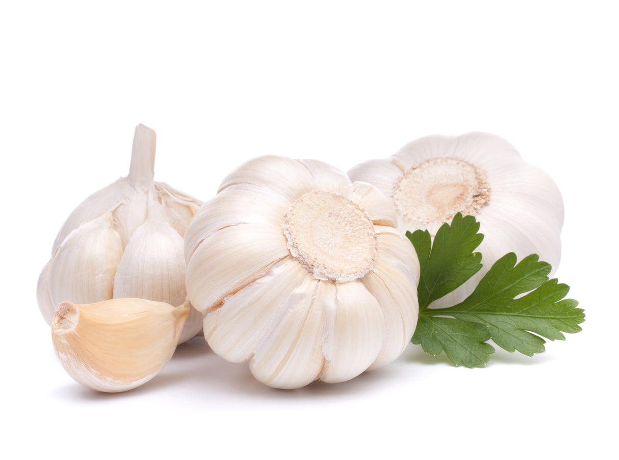 Knoblauch frisch 