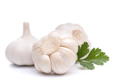 Knoblauch Qualität 