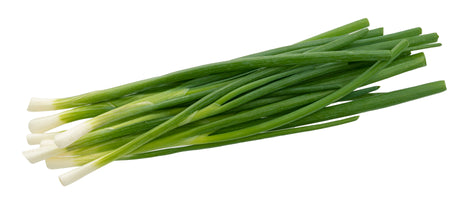 Frühlingszwiebel frisch 