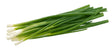 Lauch