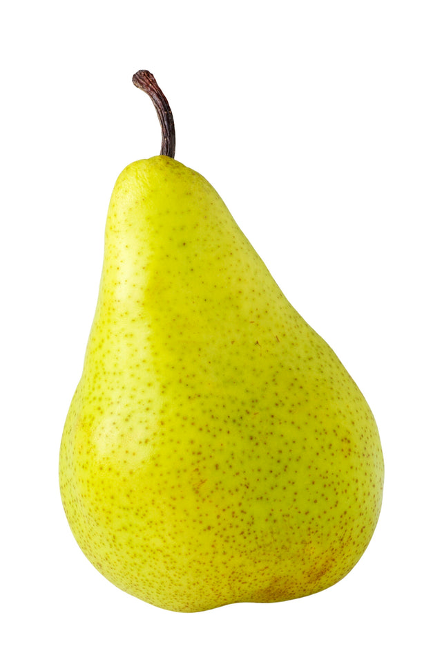 Birne Xenia grün frisch