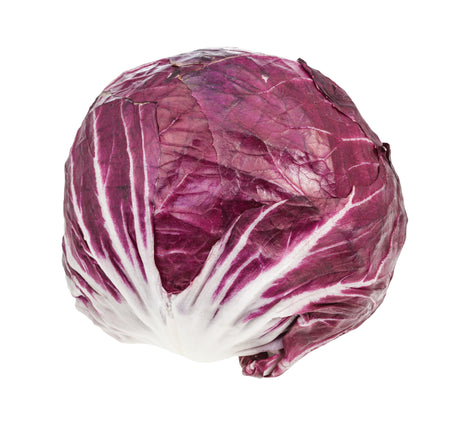 Salat Raddichio