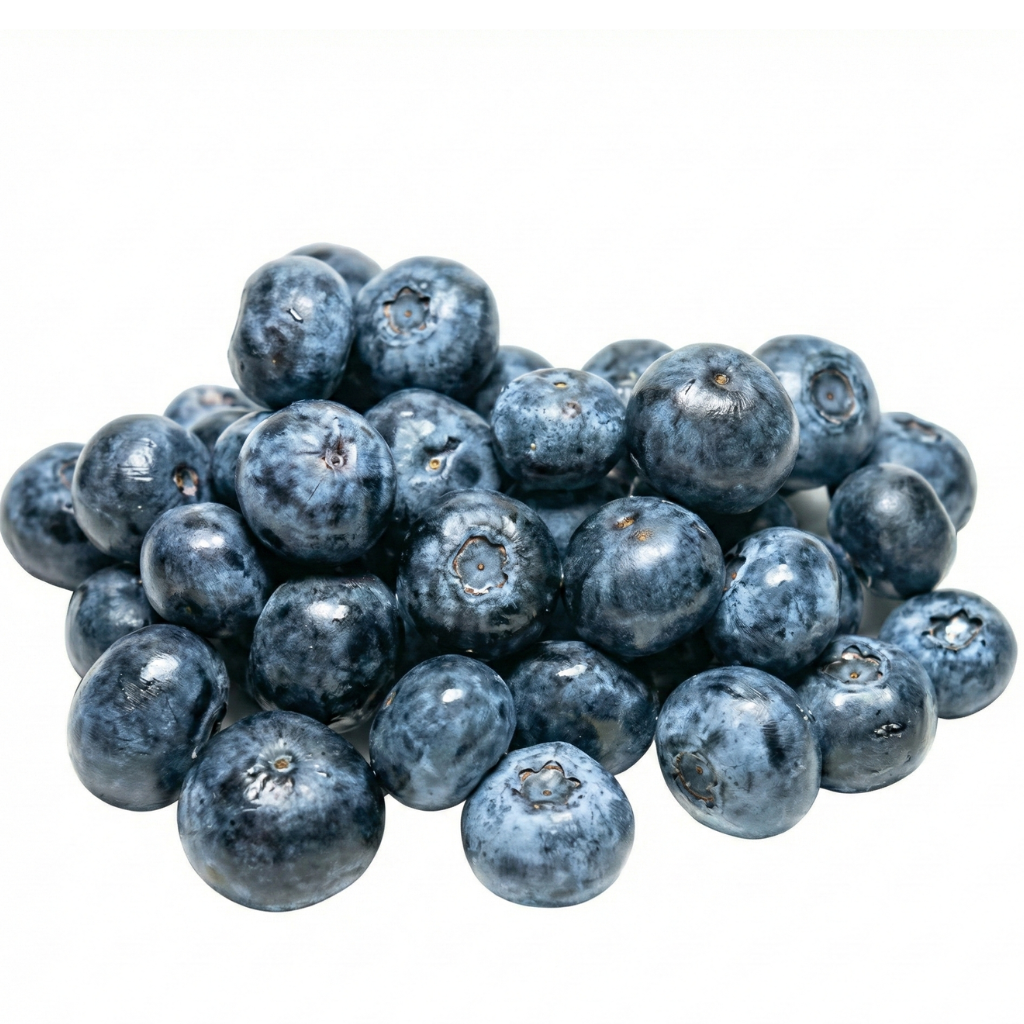 knackige Heidelbeeren beste Qualität frisch gepflückt