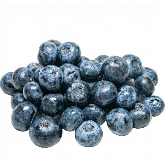 knackige Heidelbeeren beste Qualität frisch gepflückt