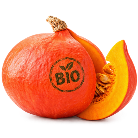 Hokkaido Kürbis bio