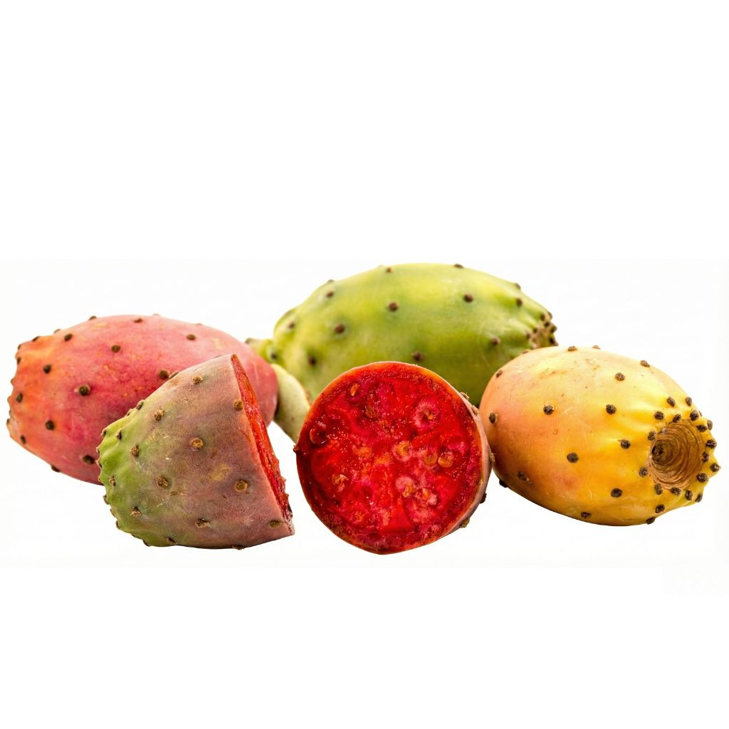 Kaktusfeigen lecker exotisch