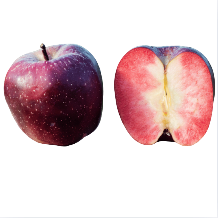 Knackiger rotfleischiger Apfel vom Bodensee