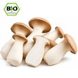 Frische Kräuterseitlinge bio
