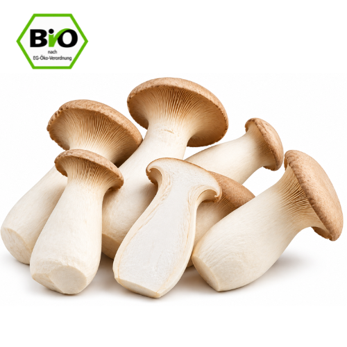 Frische Kräuterseitlinge bio