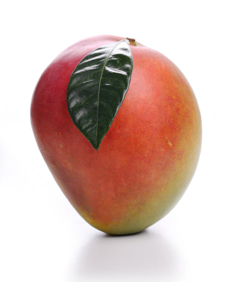 Flugmango ganz rot