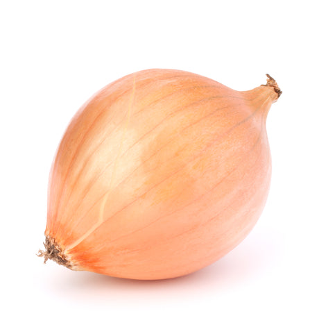 weiße Zwiebel