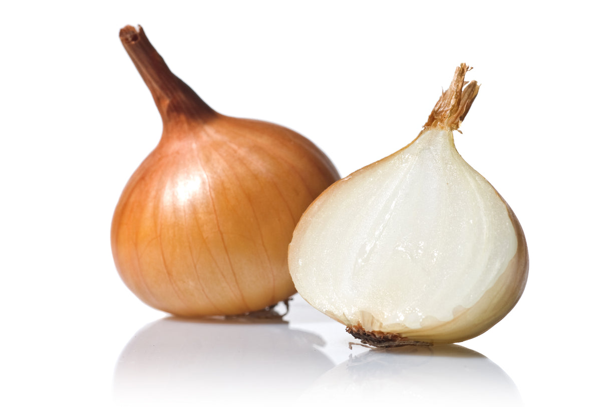 Zwiebel weiss