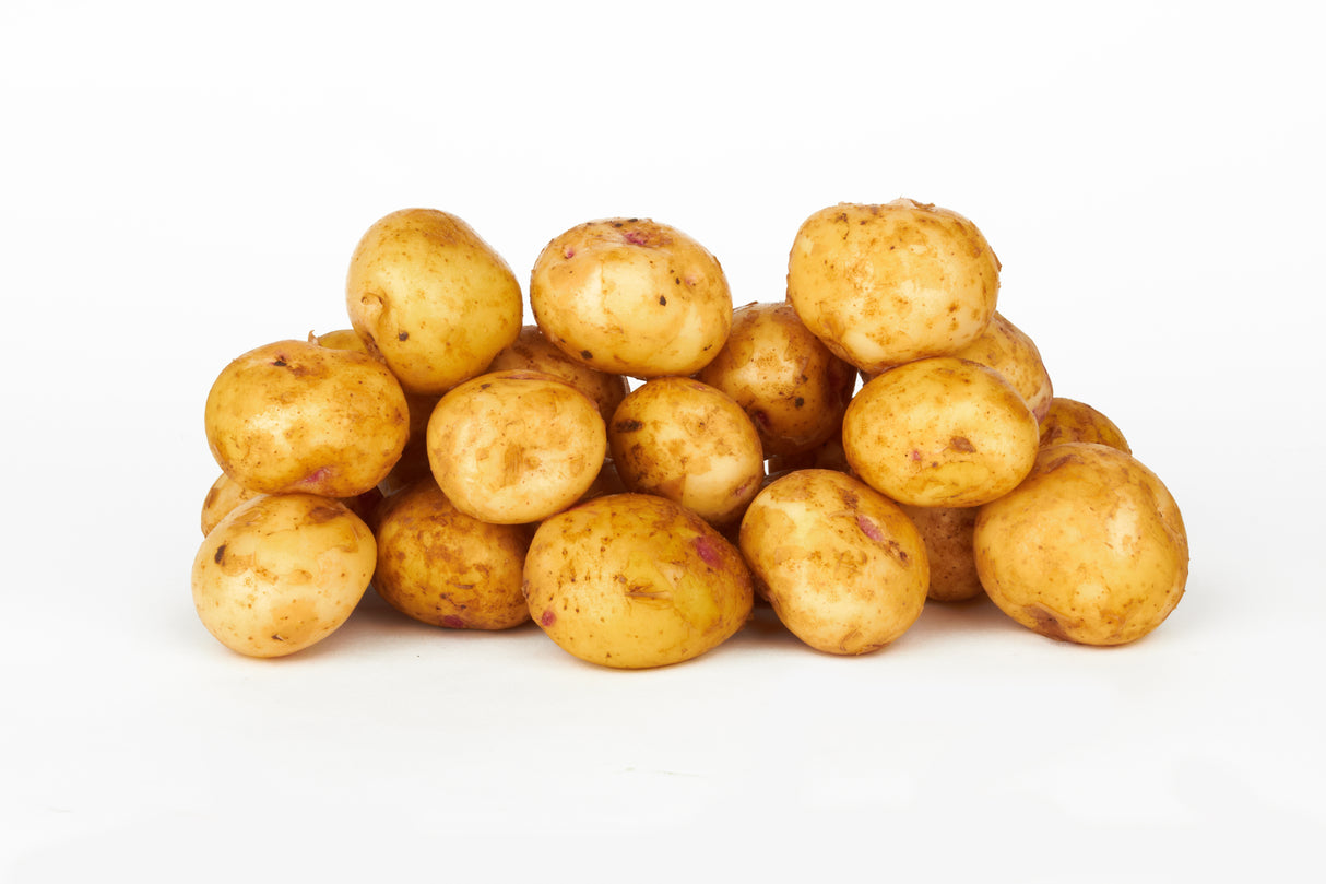 Kartoffeln frisch geerntet 