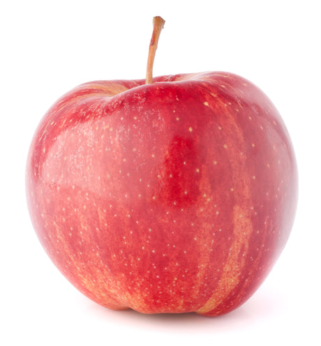 Bio Apfel 