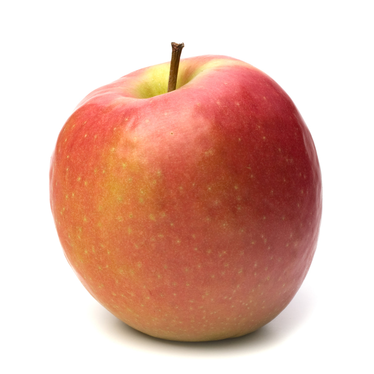 Bio Apfel